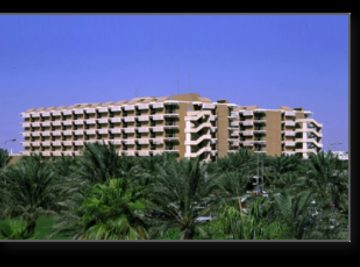 Hamad Hospital (Qatar)